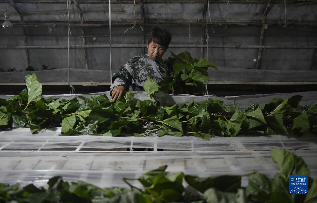 十博官网中文登陆